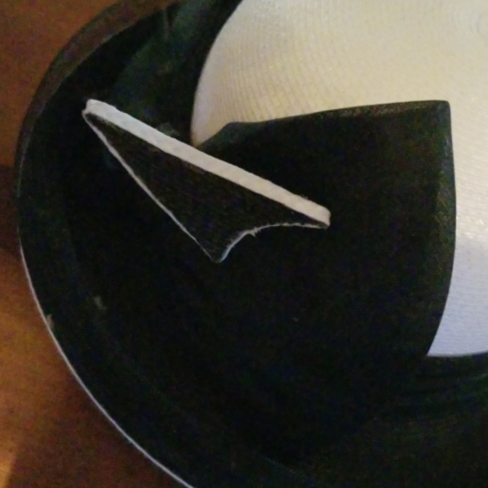 Hat - Picture 3 of 3